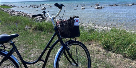 Powiększ grafikę: vilo-w-visby-622782.jpg