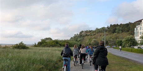 vilo-w-visby-623128.jpg [miniatura]