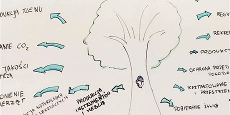 Powiększ grafikę: DRZEWA DLA KLIMATU